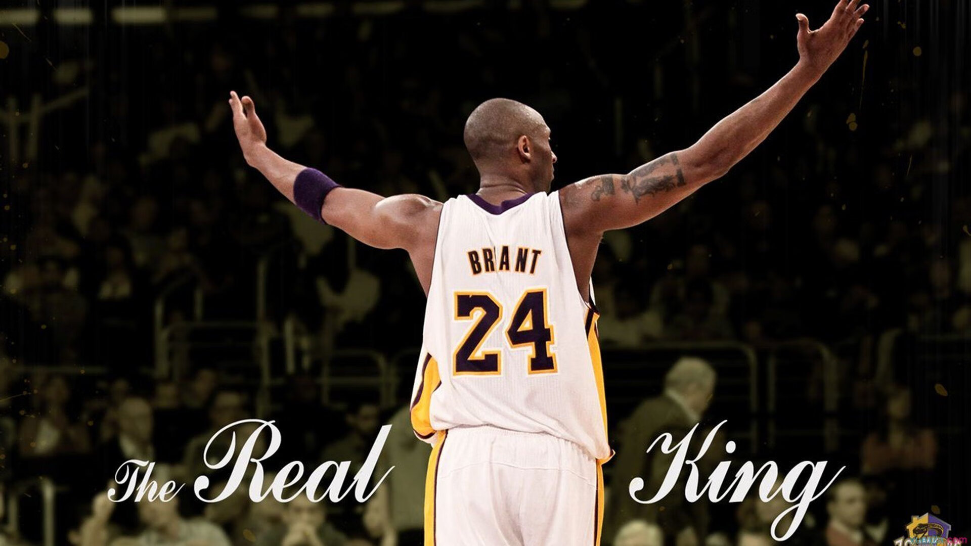 快船客场击败掘金，展现出色团队配合，快船3_1被掘金翻盘